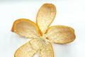 Orange peels: uses, features and best recipes What are the benefits of orange peels