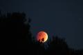 Interesting information about the lunar eclipse
