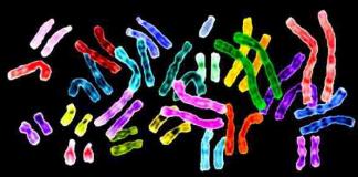 Хромосомные аномалии у детей