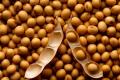 Soy lecithin - the benefits and harms is soy lecithin harmful