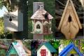 Preparations for spring are in full swing: learning how to make birdhouses Unusual birdhouses