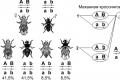 Linkage of gene inheritance