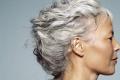 Why do you dream of gray hair: the meaning and interpretation of the dream Dream Interpretation - Gray hair