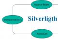 Silverlight- ի կատարումն արգելափակված է, քանի որ տարբերակը տեղադրված է