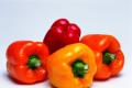 Dream interpretation pepper: bell pepper, black, red