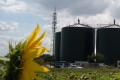Biogas plant para sa isang pribadong bahay